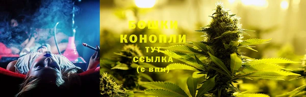 PSILOCYBIN Богородск