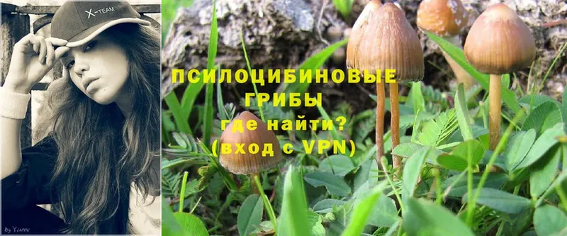 Псилоцибиновые грибы MAGIC MUSHROOMS  Армавир 